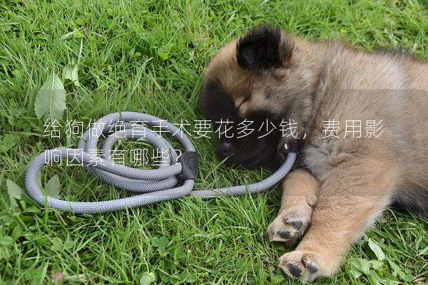 給狗做絕育手術(shù)要花多少錢，費(fèi)用影響因素有哪些？